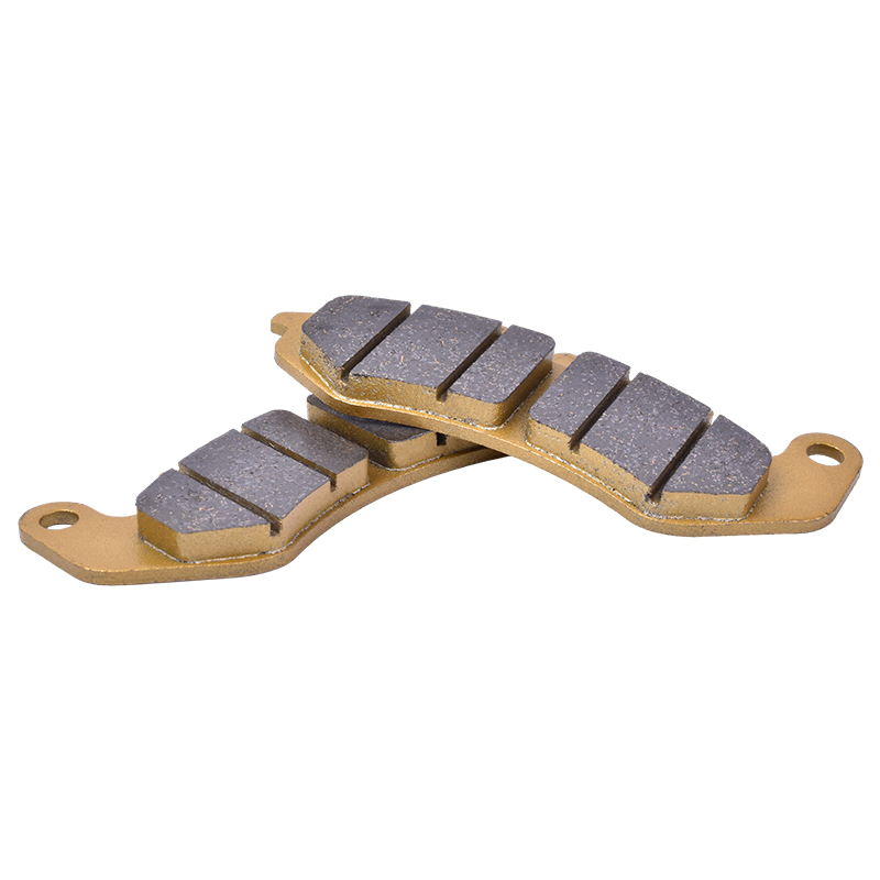  Set Pastiglie Freno Anterior - Carbon Ceramic Motorcycle Brake Rotor recensione e prezzo